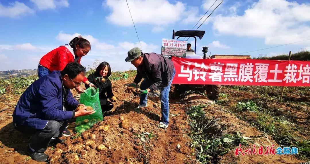 东乡人才网最新招聘动态及其区域影响力分析